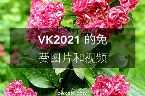 Vk 21+. Vk Adn-550